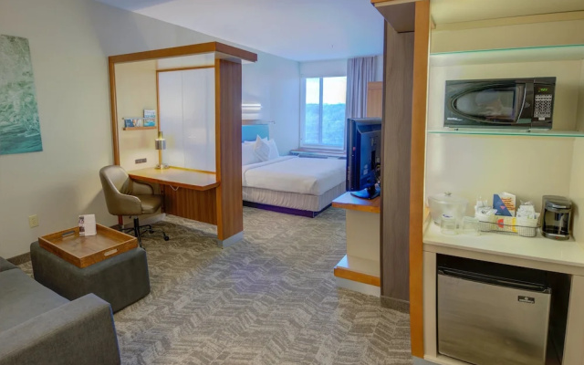 Springhill Suites Macon