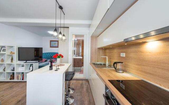 Modern studio apartment Lučić