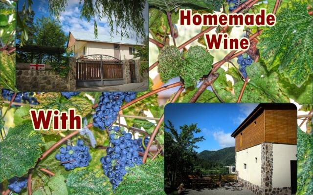 Guest House on Meskheti