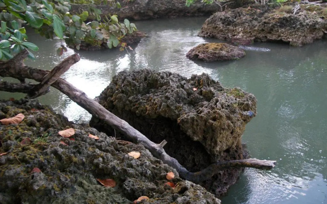 Piscina Natural on the Sea