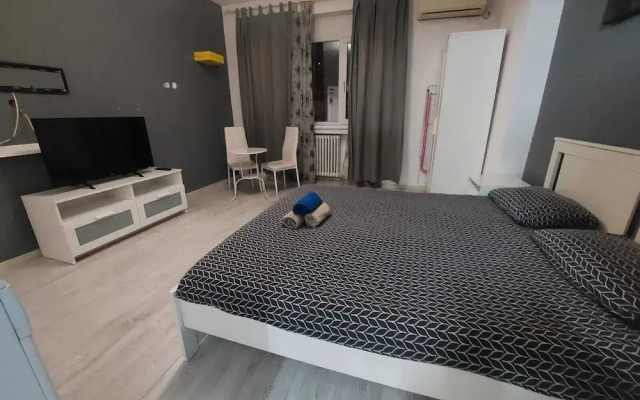 Tudor Apartment Universitate