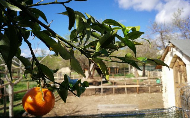 Masseria Usamborgia