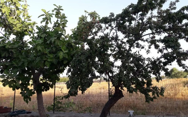 Casa Vacanza Campoli