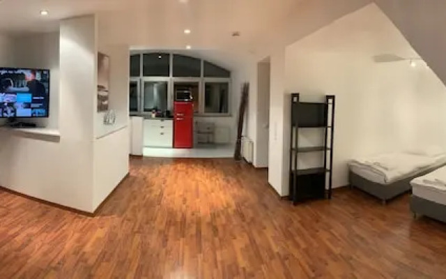 Tolstov Hotels Sunny Penthouse In City Center