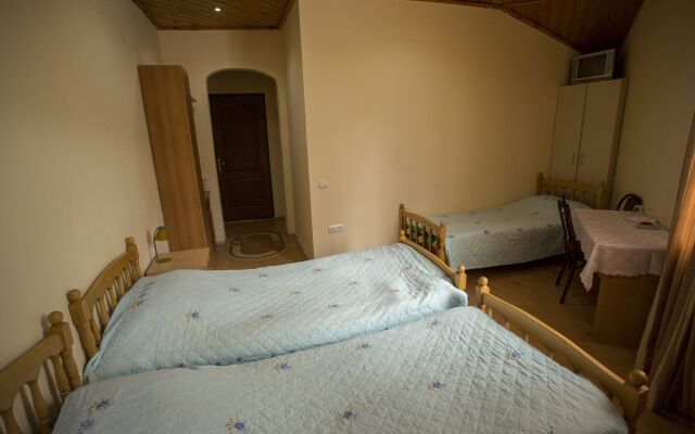 Villa Vita Bakuriani
