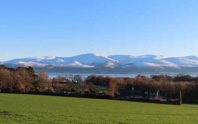 Plas Elyn