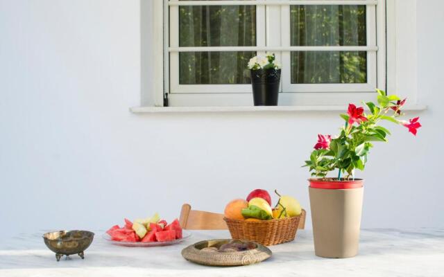 Garden House with Patio