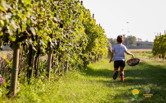 Agriturismo ai Carpini