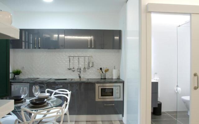 Acio blanco. Loft en el Casco Histórico de Ourense