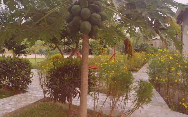 Real Owl Guest House