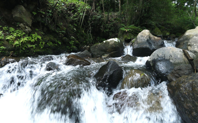 Minshuku Tozanguchi Onsen