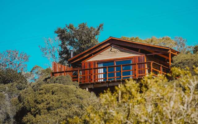 Barefoot Addo Elephant Lodge