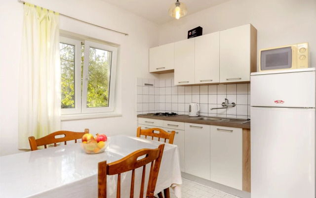 Apartment Branka