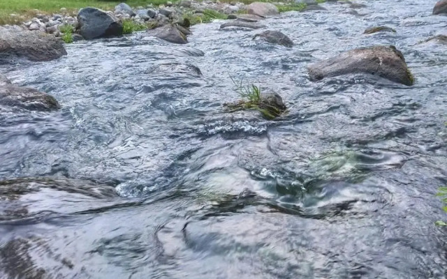 Orupõhja kämpingud ja telkimisala