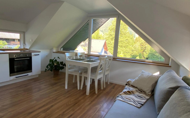 Apartment Židana marela - Attic with a View