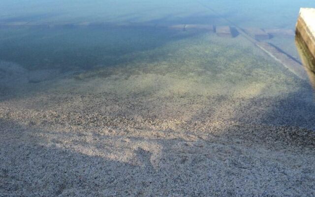 Apartment Mirjam / Two Bedrooms A1