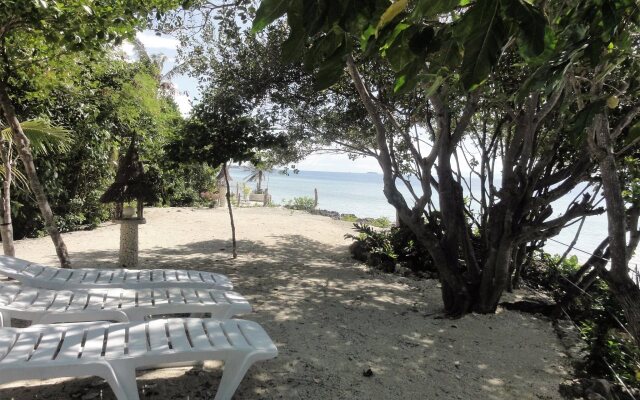Sea Turtle House