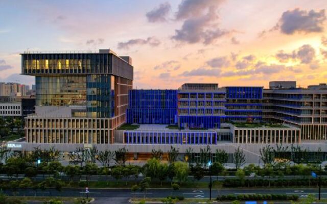 Stargale's Collection