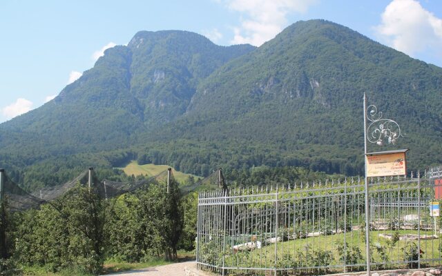 Agriturismo Maso Alle Rose