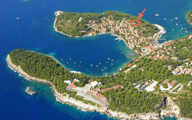 Villa By The Sea Near Dubrovnik