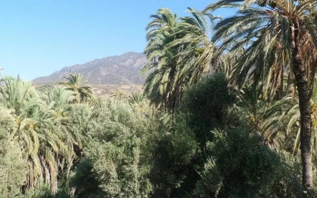 La Palmeraie dInraren