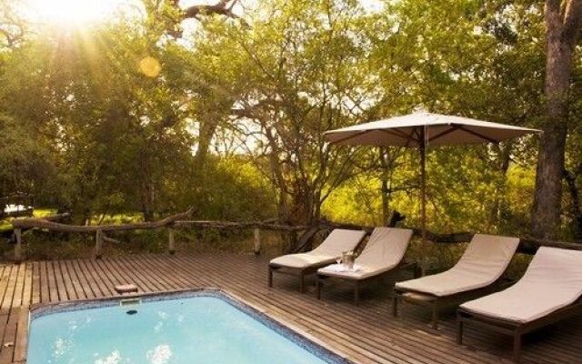 Royal Tree Lodge