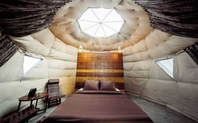 Purple Orchid By Xacro Xperiences