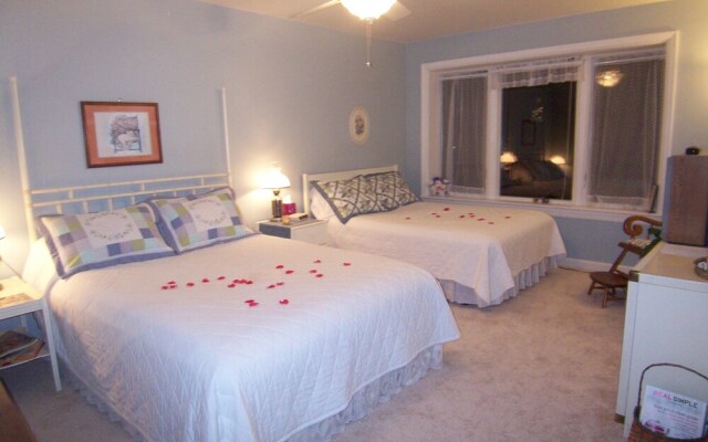 Tree Top Bed & Breakfast