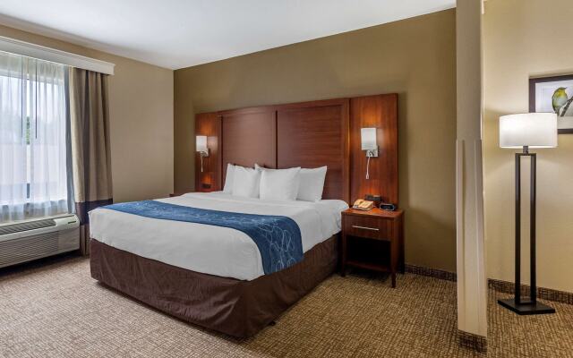 Comfort Suites At Rivergate Mall