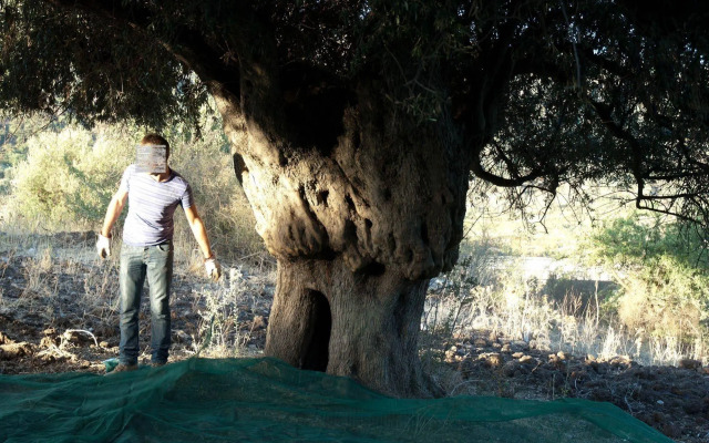 Il Vecchio Frantoio