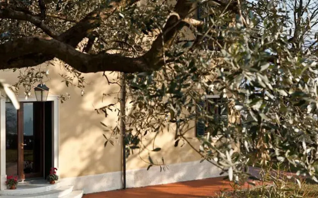 Cà Delle Vigne