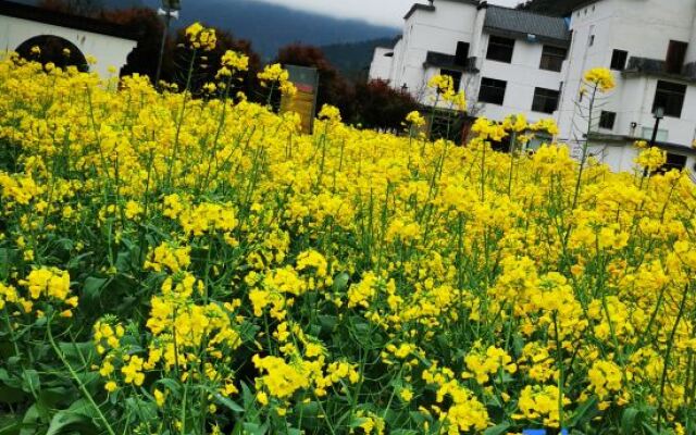 Yinniujiang Wuzhifeng Hotel