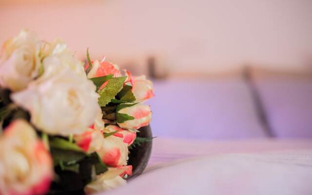 BnButler - Alfieri 15