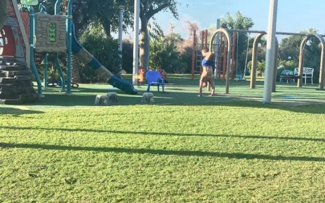 יולי גולף