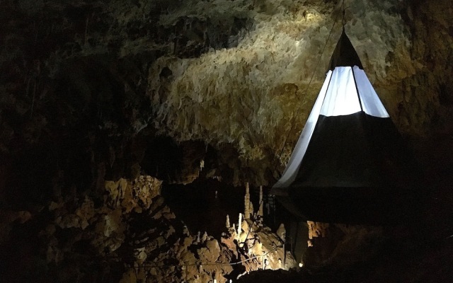 Aven Grotte Forestière
