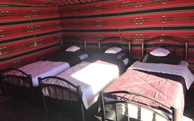 Desert Bird Camp