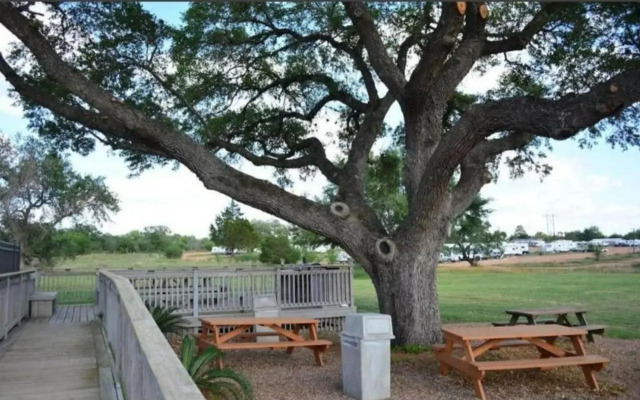 Hotel O Executive Inn & Suites Cuero Hwy 87