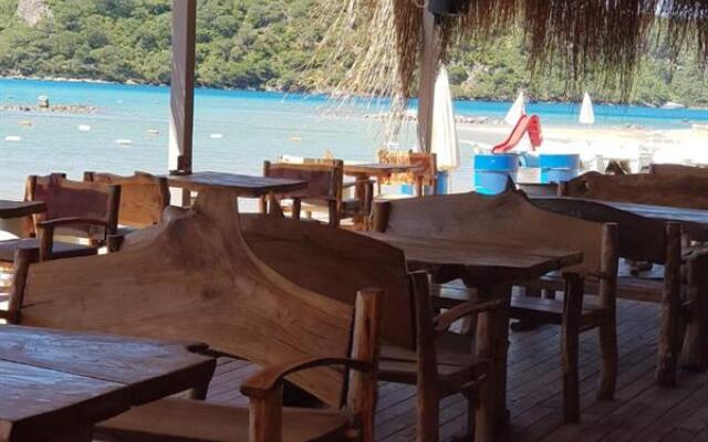 Green Pine Beach & Bungalows Luxury Concept