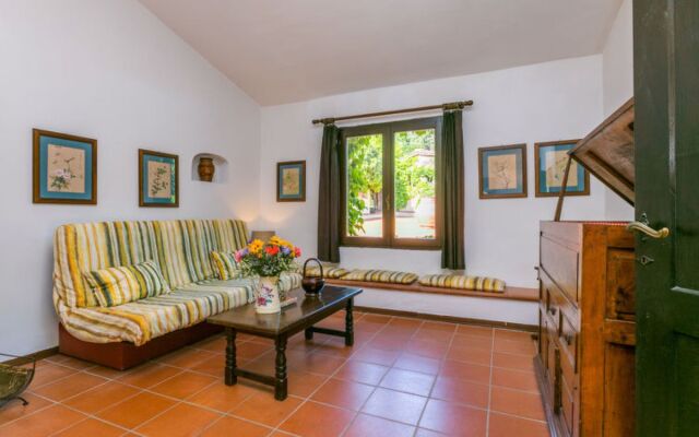 Bardeggiano - Caterina 6 (COL242)