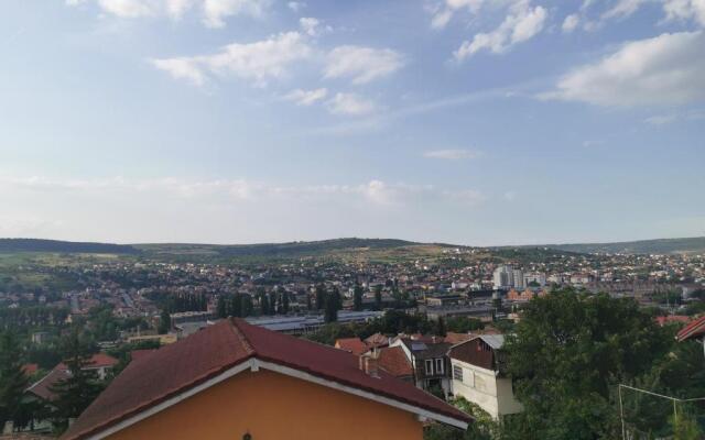 Charming Modern Apartment, Minutes from Downtown