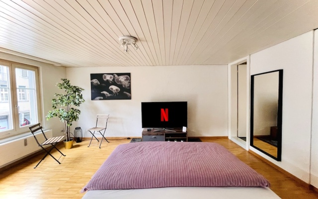 Newly Furnished Beautiful old Building Apartment in the Center With Apple TV O1 – Guest Rooms – St. Gallen