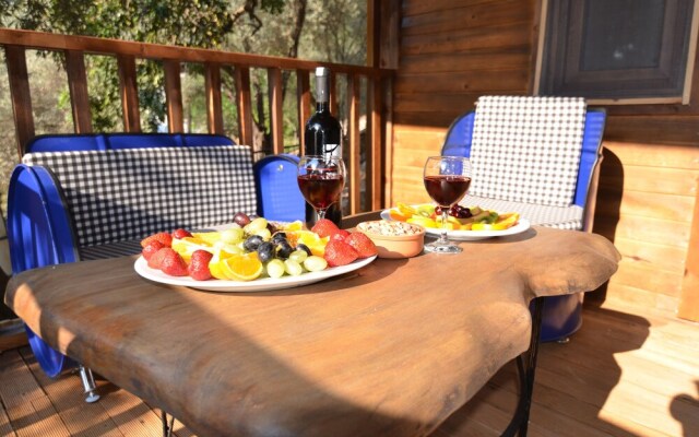 Baharoglu Life House Faralya