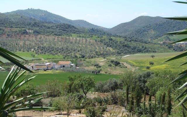 Splendid Villa in Almogía With Private Swimming Pool