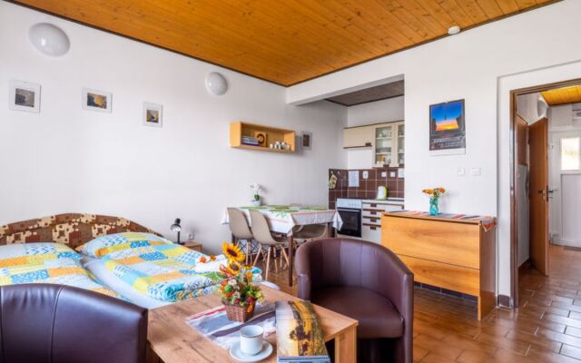 Apartment Rabyně Slapy 28604