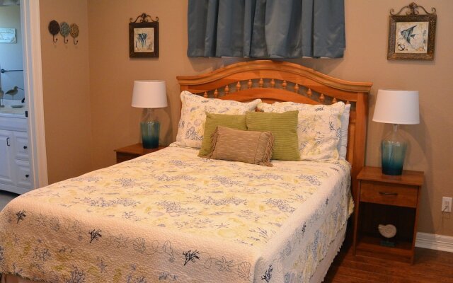 2 Sand Dollar by RedAwning