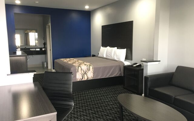 Platinum Inn and Suites