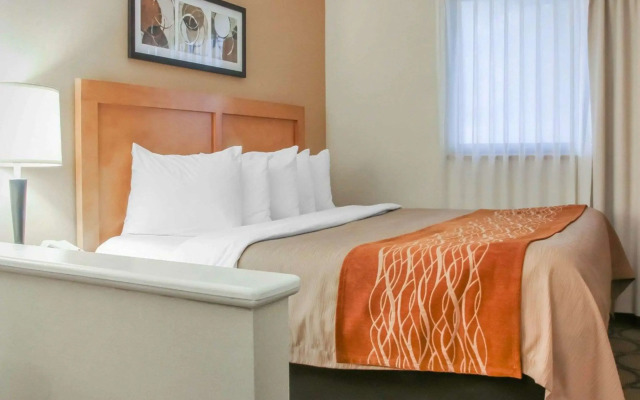 Comfort Inn South