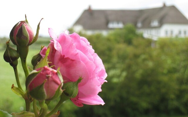 Ferienwohnung-Meeresleuchten