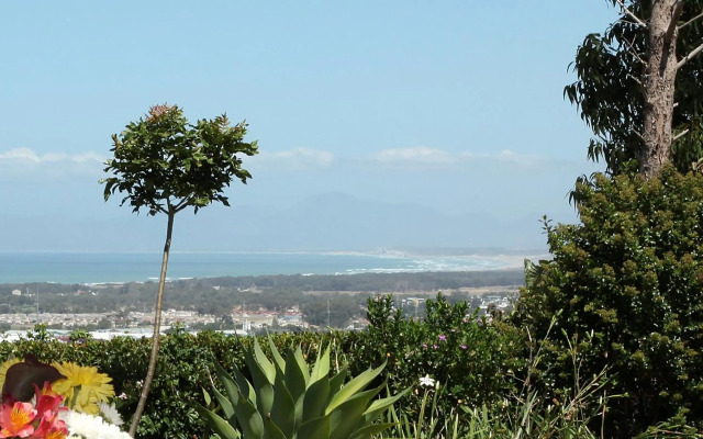 Somerset Sights Bed and Breakfast