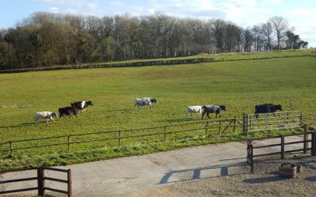 The Old Stables Bed & Breakfast